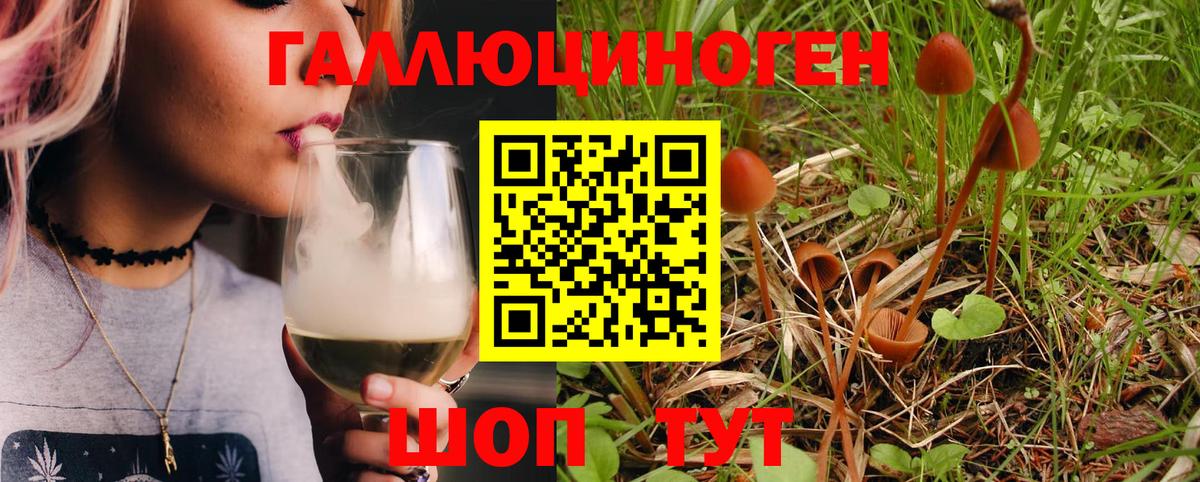 Асбест  Псилоцибиновые грибы Psilocybe  Вход с VPN 