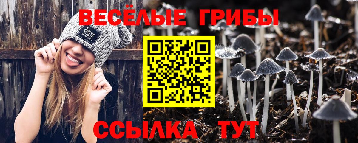 Псилоцибиновые грибы Cubensis Асбест